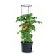 Mrazuvzdorný květináč na pěstování rajčat Tomato Grower IPOM300
