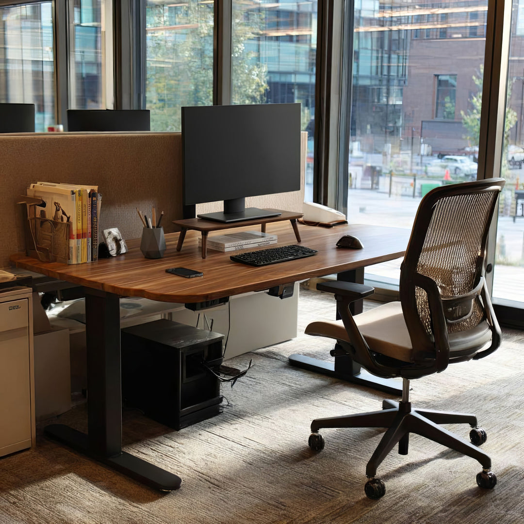 Dřevěný stojan pro monitor / notebook Maclean, (500x240x120mm), barva černý ořech, max. 20 kg, MC-930