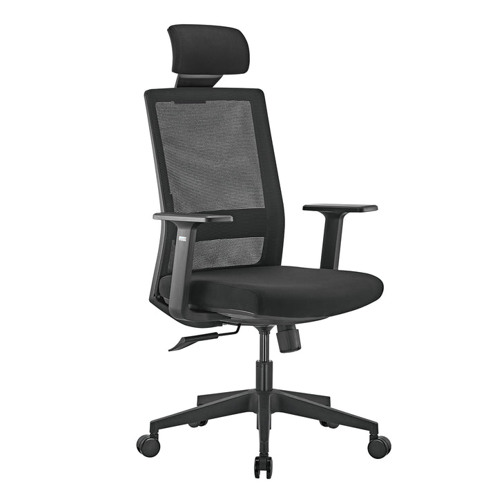 Prémiová ergonomická kancelářská židle s vysokým opěradlem Ergo Office, max. 150 kg, ER-425