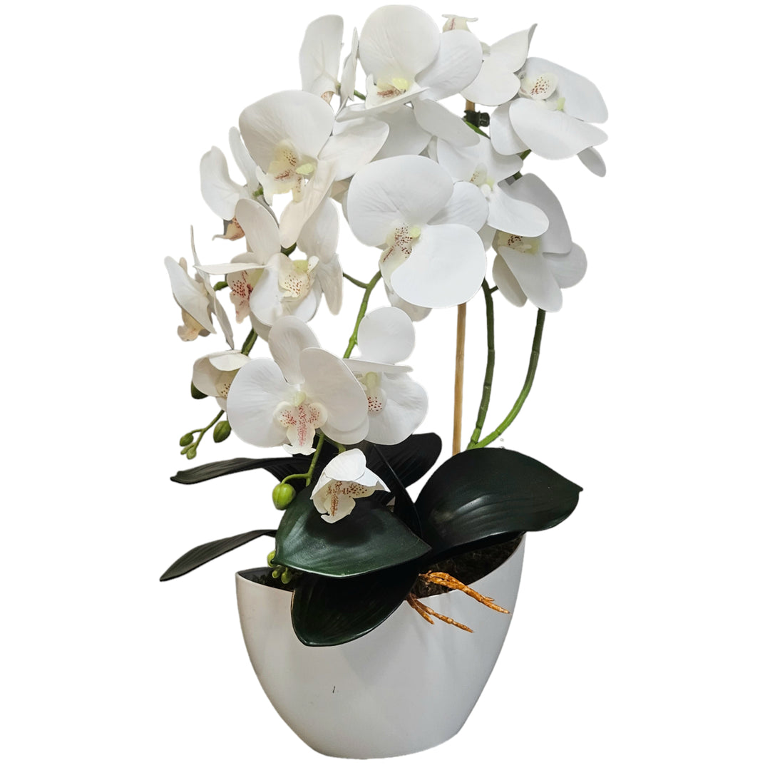 Orchidej umělé květiny orchidej jako živá kaučuk bílý květináč