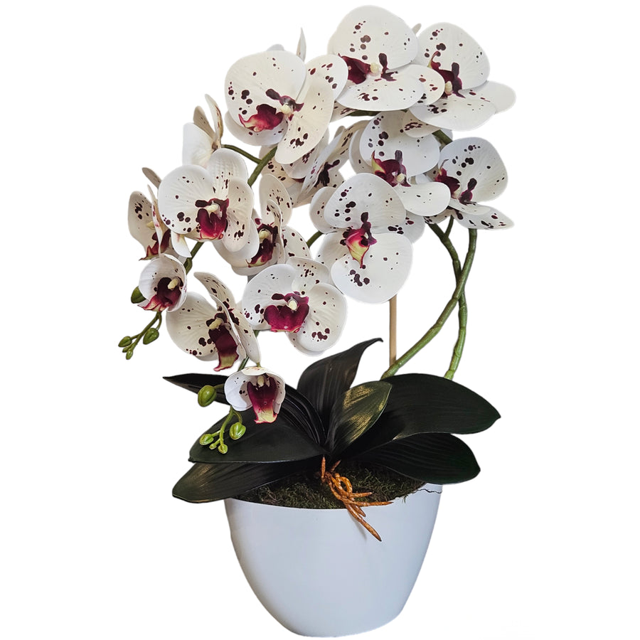 Damich umělá orchidej, květiny, z kaučuku, 2 pgk bílý květináč