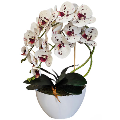 Damich umělá orchidej, květiny, z kaučuku, 2 pgk bílý květináč