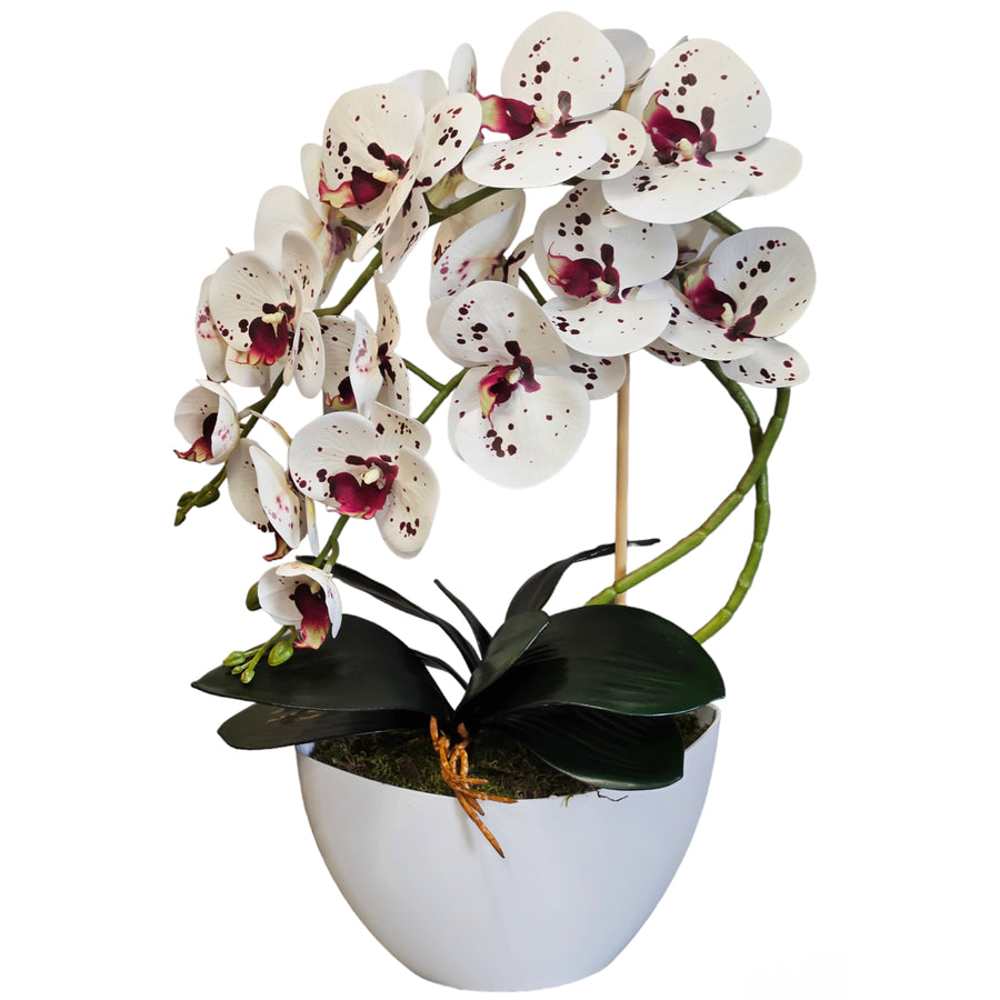 Damich umělá orchidej, květiny, z kaučuku, 2 pgk bílý květináč