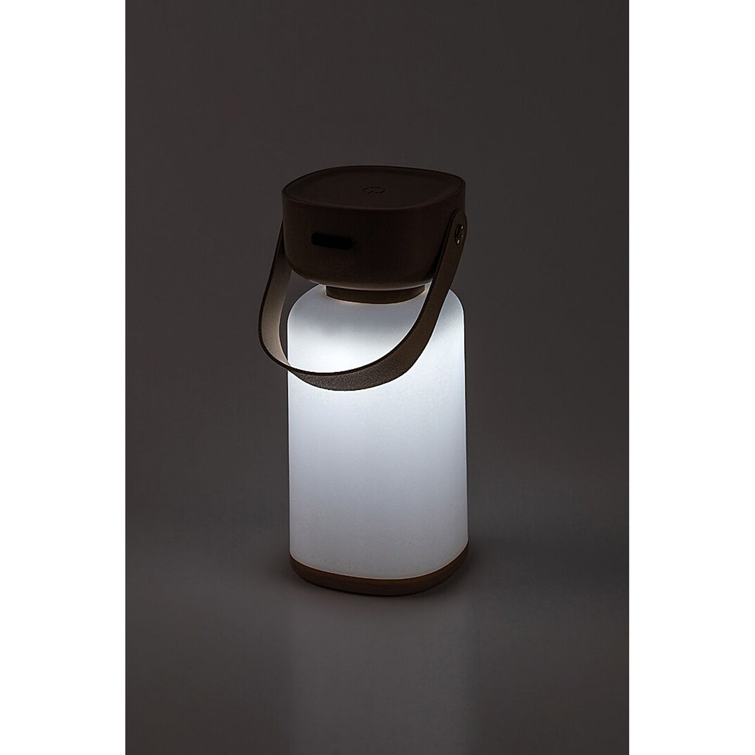 Dekorativní lampa Rabalux, venkovní, IP44, 3W, hnědá, Funes
