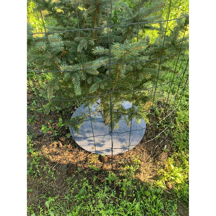 Sada kotoučů proti plevelu Bertoni, 3 kusy, 40 cm, šedá