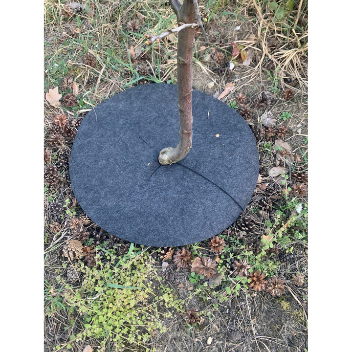 Sada kotoučů proti plevelu Bertoni, 6 kusů, 50 cm, šedá
