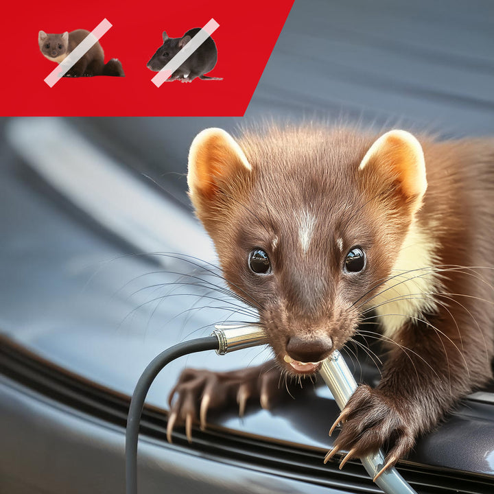 GreenBlue GB725 odpuzovač hlodavců a kun s ultrazvukem a LED + 4x baterie AA Varta Industrial