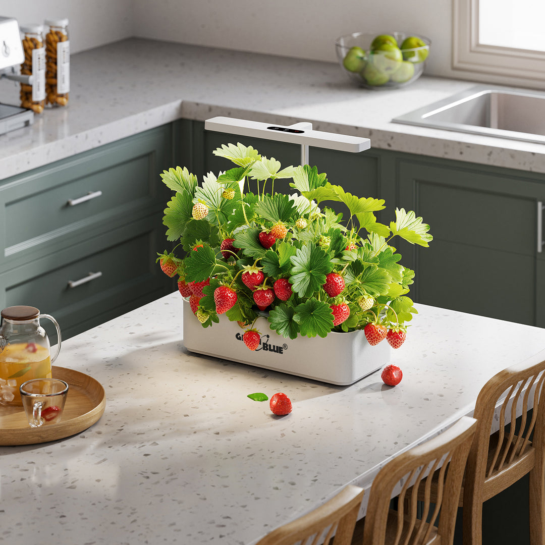 Inteligentní systém pro pěstování rostlin v interiéru GreenBlue, květináč SMART, objem 4 l, 220–240 V AC, 50/60 Hz, 0,4 A, GB133 + sada příslušenství