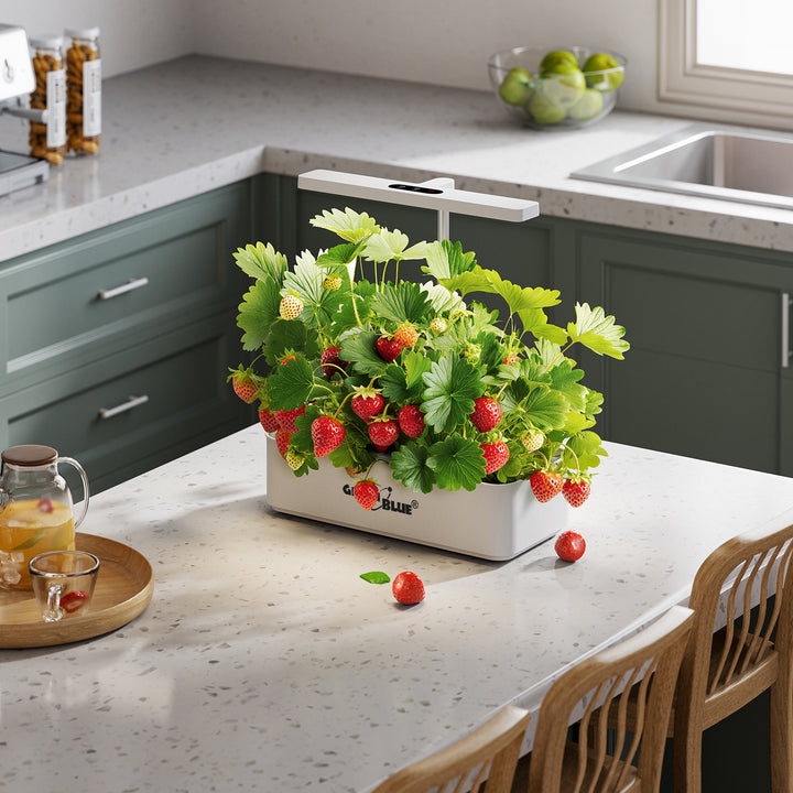 Inteligentní systém pro pěstování rostlin v interiéru GreenBlue, květináč SMART, objem 4 l, 220–240 V AC, 50/60 Hz, 0,4 A, GB133 + sada příslušenství