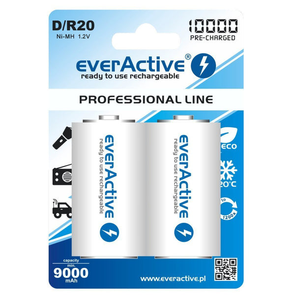Nabíjecí baterie 2x R20 D 10000mAh nabíjení everActive Professional