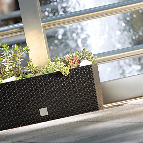 Květináč s vložkou Prosperplast Rato Case DRTC500 440U - umbra