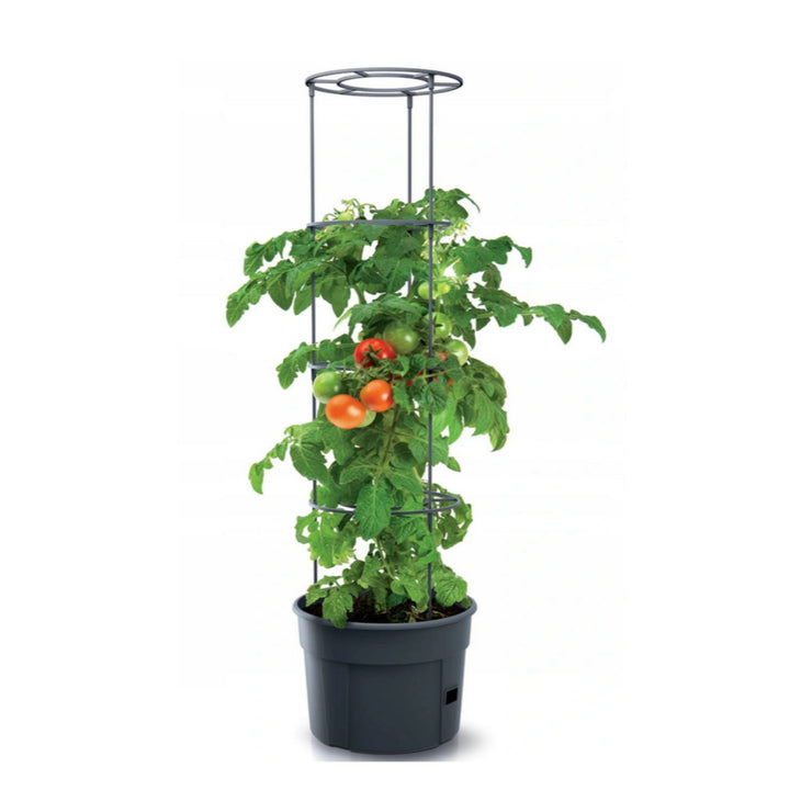 Mrazuvzdorný květináč na pěstování rajčat Tomato Grower IPOM300