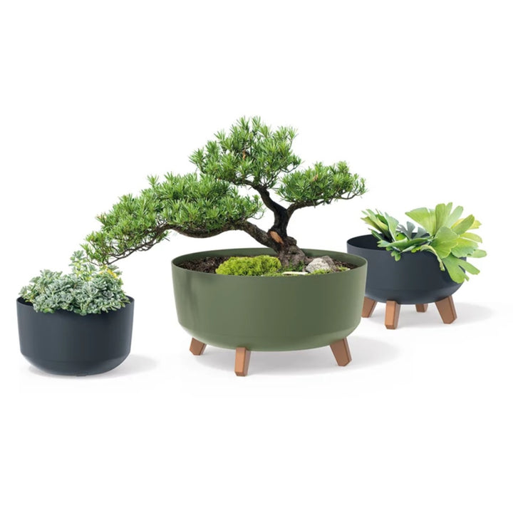 Prosperplast Gracia Nízký květináč DGRL240L-S449 bílý