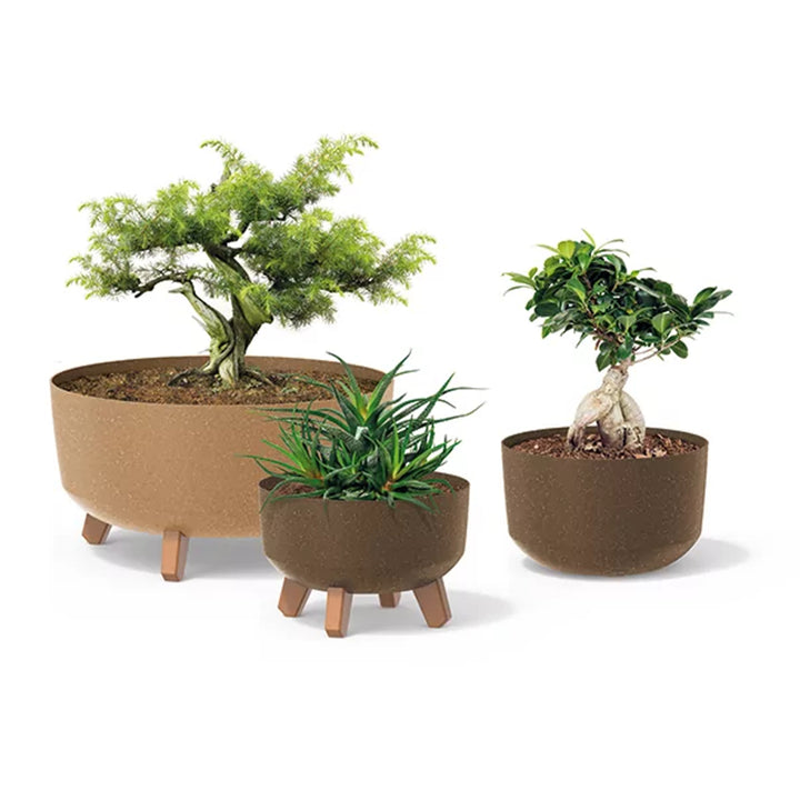 Nízký ECO květináč na dřevo Gracia DGRL400LW-S449W - ECO White