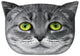 Designový polštář s motivem kočky Cat Cushion Dekorační polštář se skrytým zipem a výplní Cushion Lolek