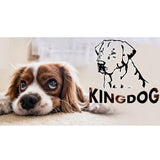 Velký pelíšek pro psy, kočky 75 x 65 Modrá - Kingdog velikost M