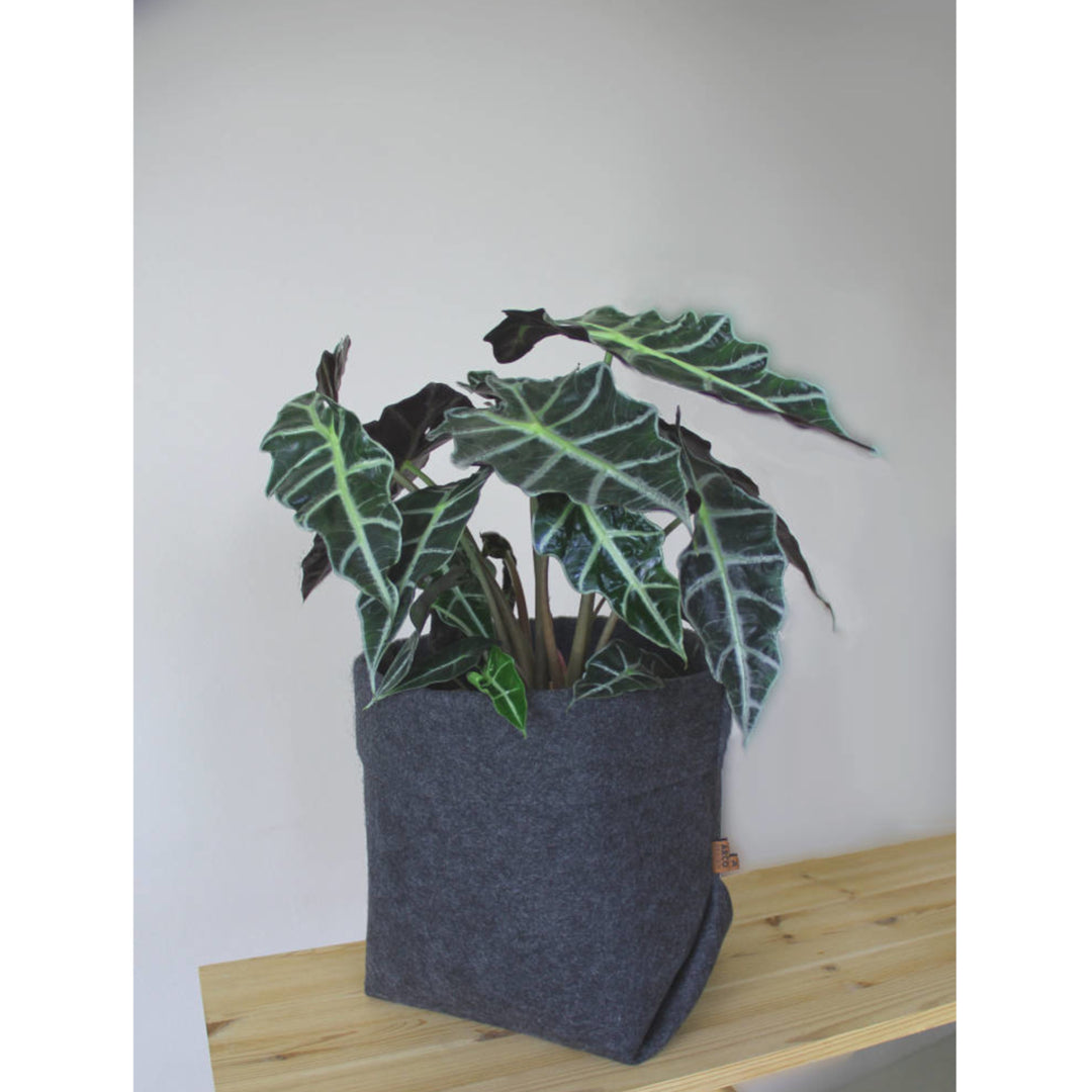Plstěný obal na květináč Simple Bertoni EE016 velikost XL - 25 cm