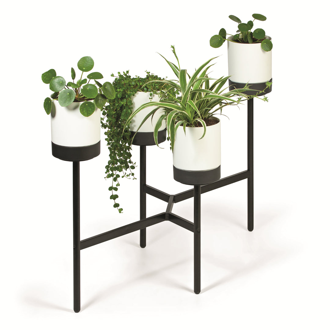 Prosperplast Bloomie Stand Stojan na květiny se 4 květináči Stojan na květiny 125x55x81,5cm Kovový rám Beton