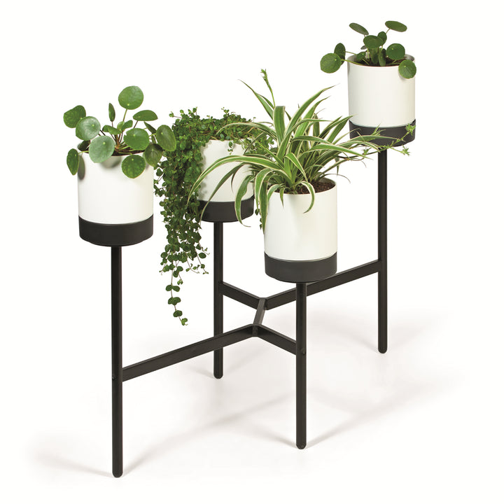 Prosperplast Bloomie Stand Stojan na květiny se 4 květináči Stojan na květiny 125x55x81,5cm Kovový rám Beton