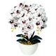 Umělá květinová dekorace orchidej Damich Spotted White