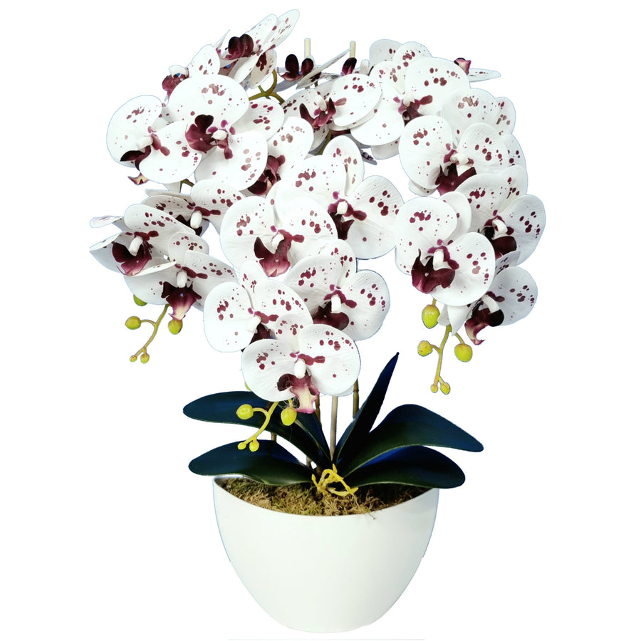 Umělá květinová dekorace orchidej Damich Spotted White