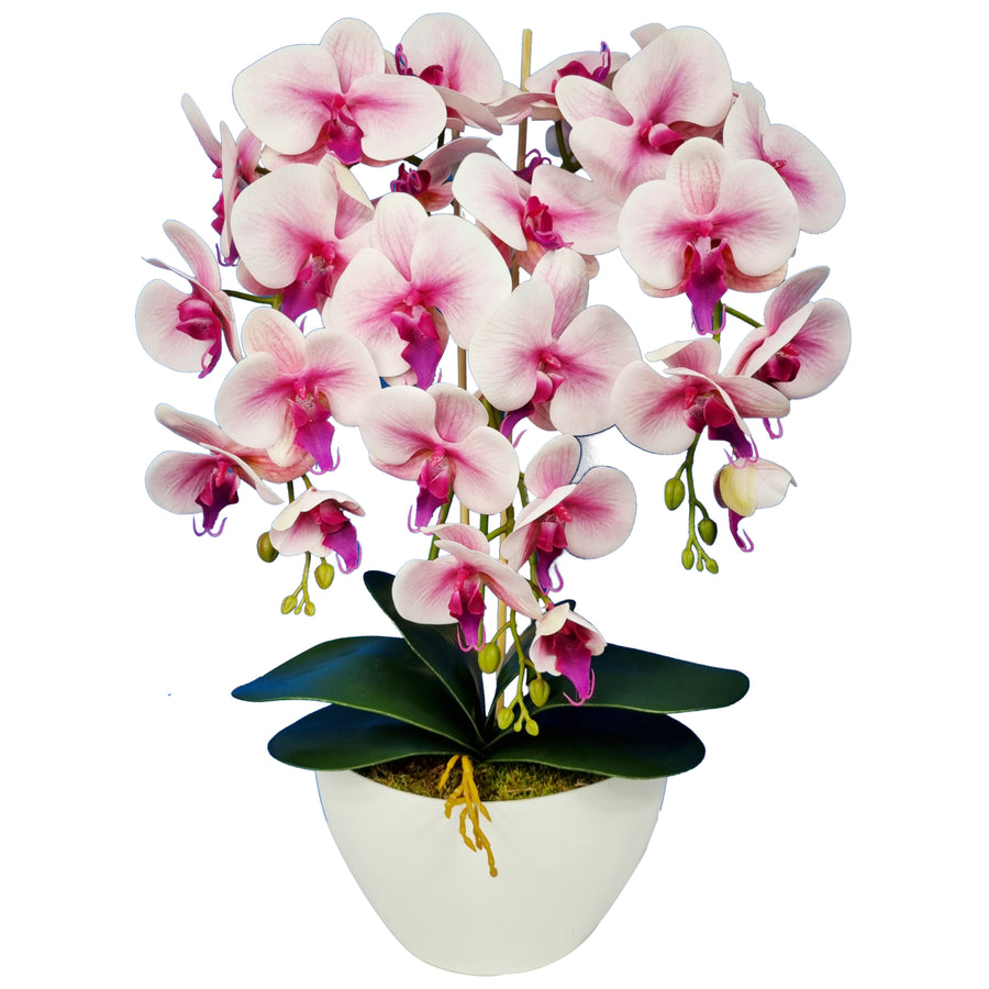 Umělá květinová dekorace orchidej Damich Spotted Pink