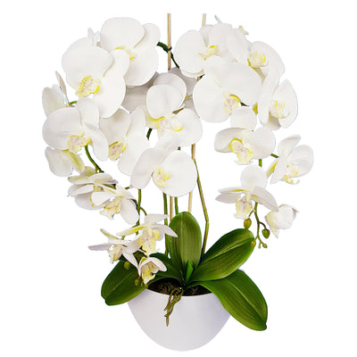 Umělá květinová dekorace orchidej Damich Spotted White All