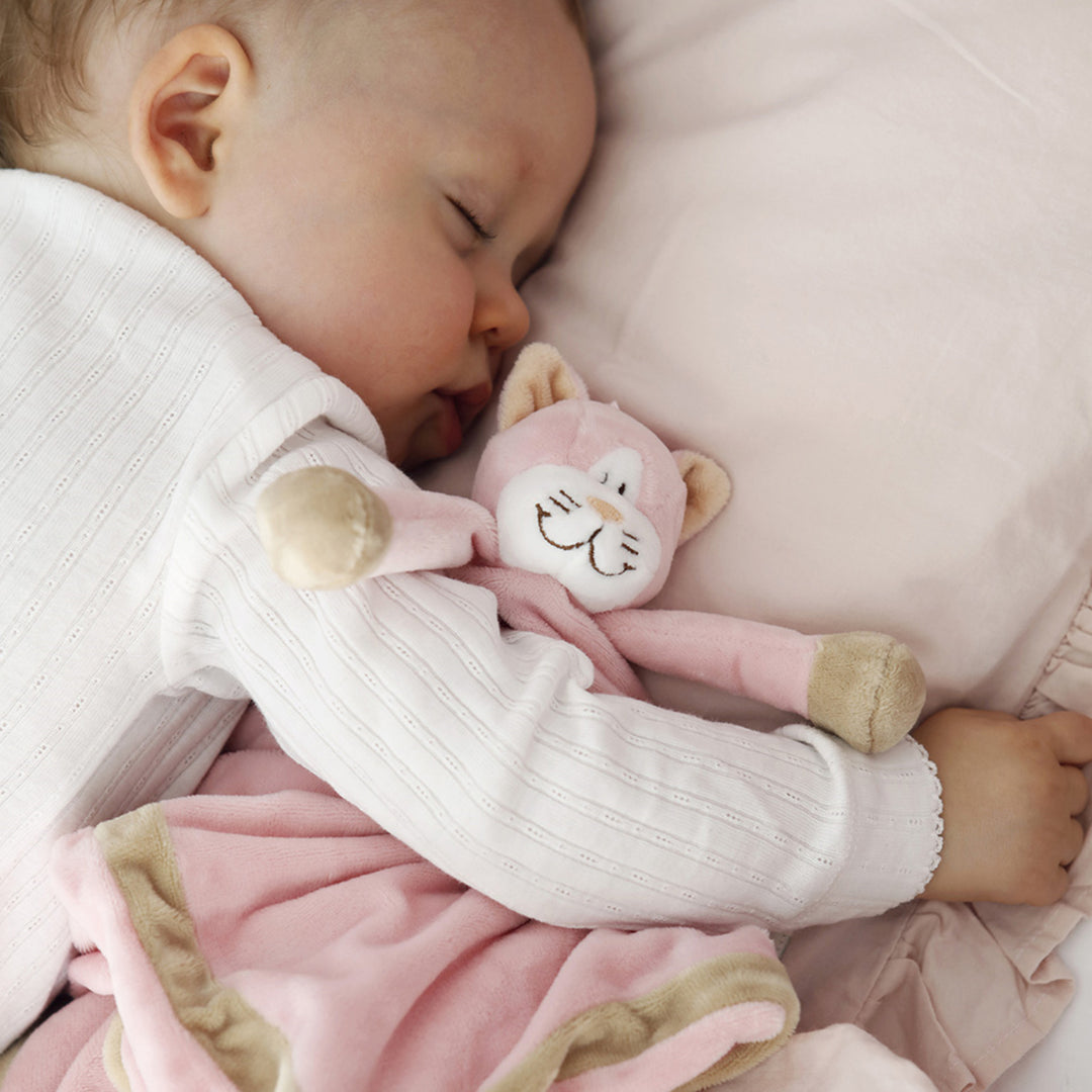 Diinglisar mazlící deka, měkký materiál, růžová kočka, 35 cm, T-TED-01372 1