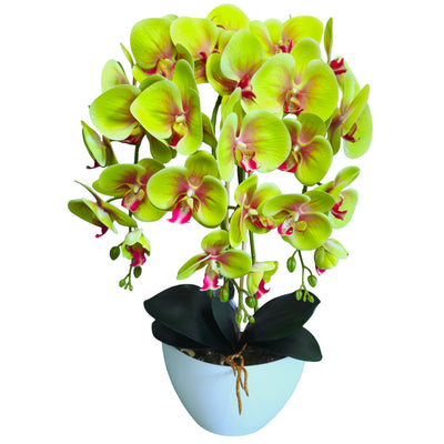 Damich vysoce kvalitní umělá orchidej, zelená, z kaučuku, 3pgz