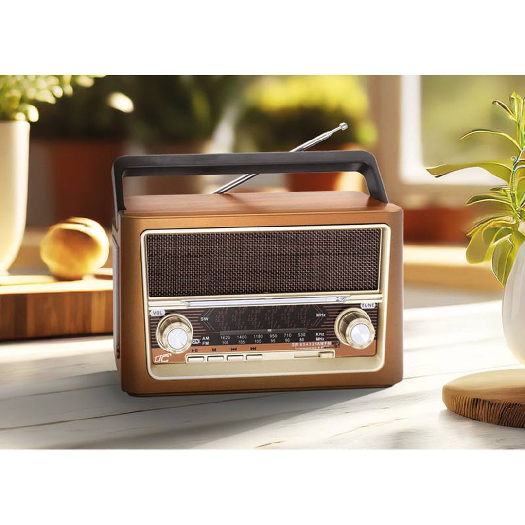 Přenosné rádio LTC, Bluetooth, FM/AM/SW, USB, LXLTC118UBT